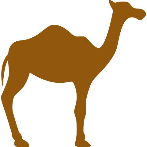 Camel safari in Bikaner